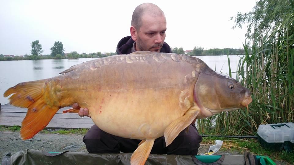  pescuit 2017 - 1840294015168040116857468762315179354230730n.jpg